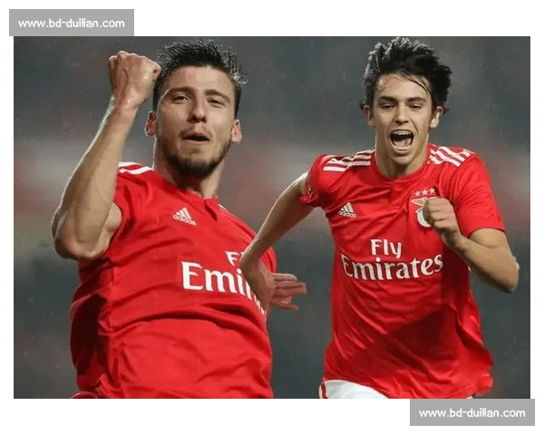 本菲卡球迷赴美观赛遭拒签 损失近 8000 元梦碎世俱杯